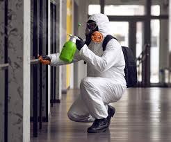 Best Mold Removal for HVAC Installations  in Choudrant, LA